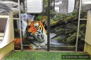 Один из составов столичного метро украсили дальневосточный леопард и амурский тигр