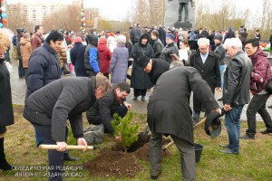 Около сотни деревьев высадят в районе Орехово-Борисово Северное