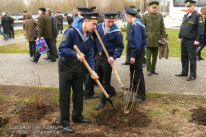 Около сотни деревьев высадят в районе Орехово-Борисово Северное