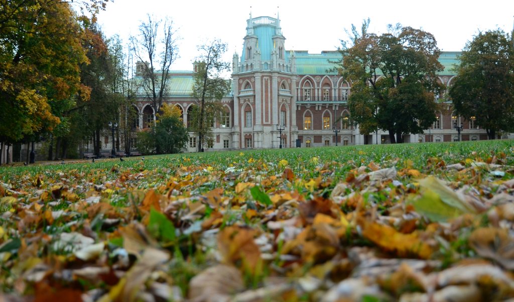 Коворкинг для подростков открыли в МЗ «Царицыно». Фото: Анна Быкова, «Вечерняя Москва»