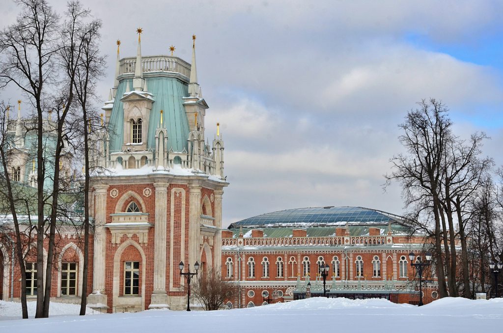 «Зеленые дворцы»: в МЗ «Царицыно» открылась новая выставка. Фото: Анна Быкова, «Вечерняя Москва» 