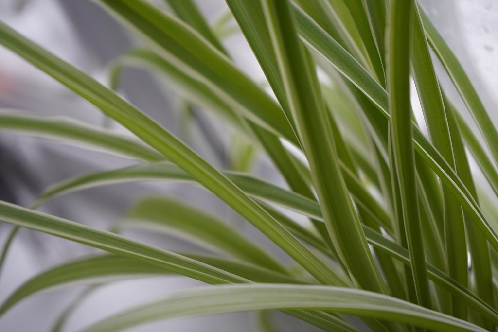 Итоговое событие трека «Орленок - Эколог» прошло в школе №996. Фото: Анна Быкова, «Вечерняя Москва»