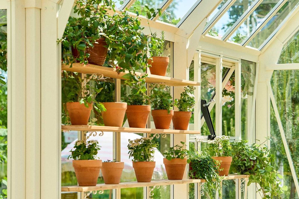 Фестиваль «Сады и огороды» стартовал в МЗ «Царицыно». Фото: пресс-служба Департамента культуры города Москвы