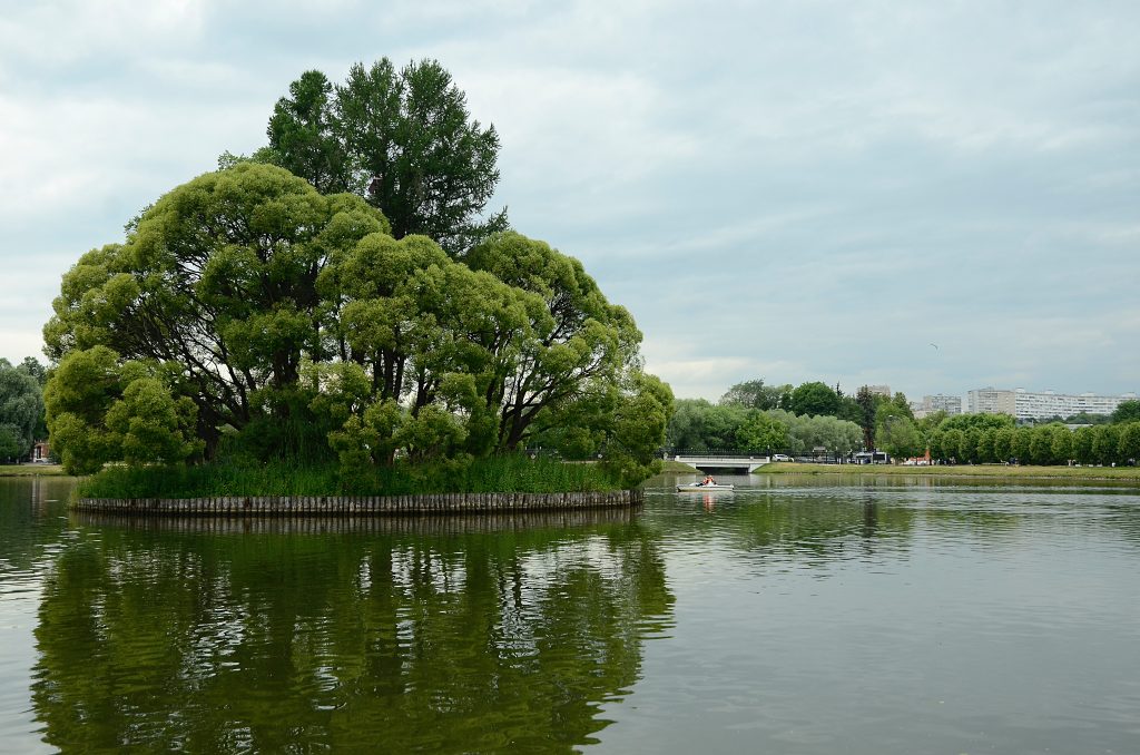 21 июня в Москве пройдет фестиваль на воде «Две реки». Фото: Анна Быкова, «Вечерняя Москва»