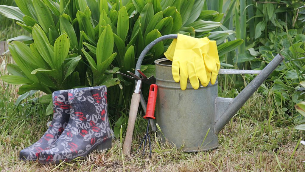 Горожан пригласили на мастер-классы по садоводству в рамках проекта «Лето в Москве». Фото: Анастасия Кочеткова, «Вечерняя Москва»