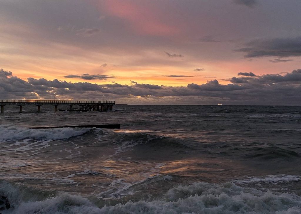 Аппарат совета депутатов рассказал как отметят день дельфинов в ОБС. Фото: Анна Быкова, «Вечерняя Москва»