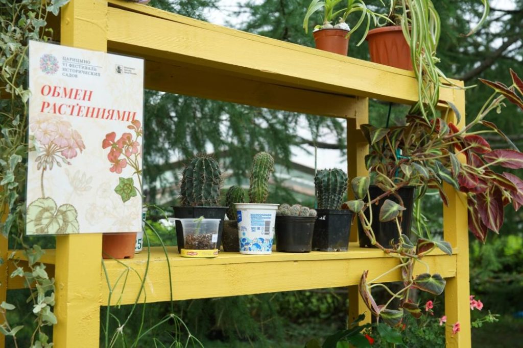 Любителей комнатных растений пригласили на тематический день в МЗ «Царицыно». Фото: официальный сайт МЗ «Царицыно»