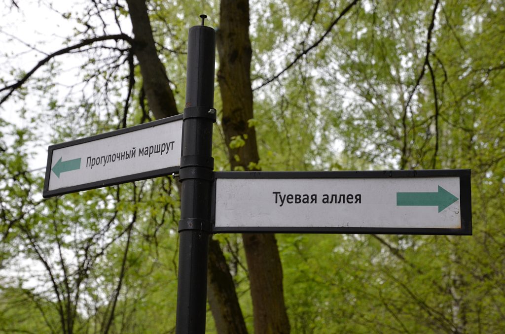 Научно-практический семинар «Дендропарк в городе» проведут эксперты МЗ «Царицыно». Фото: Анна Быкова, «Вечерняя Москва»