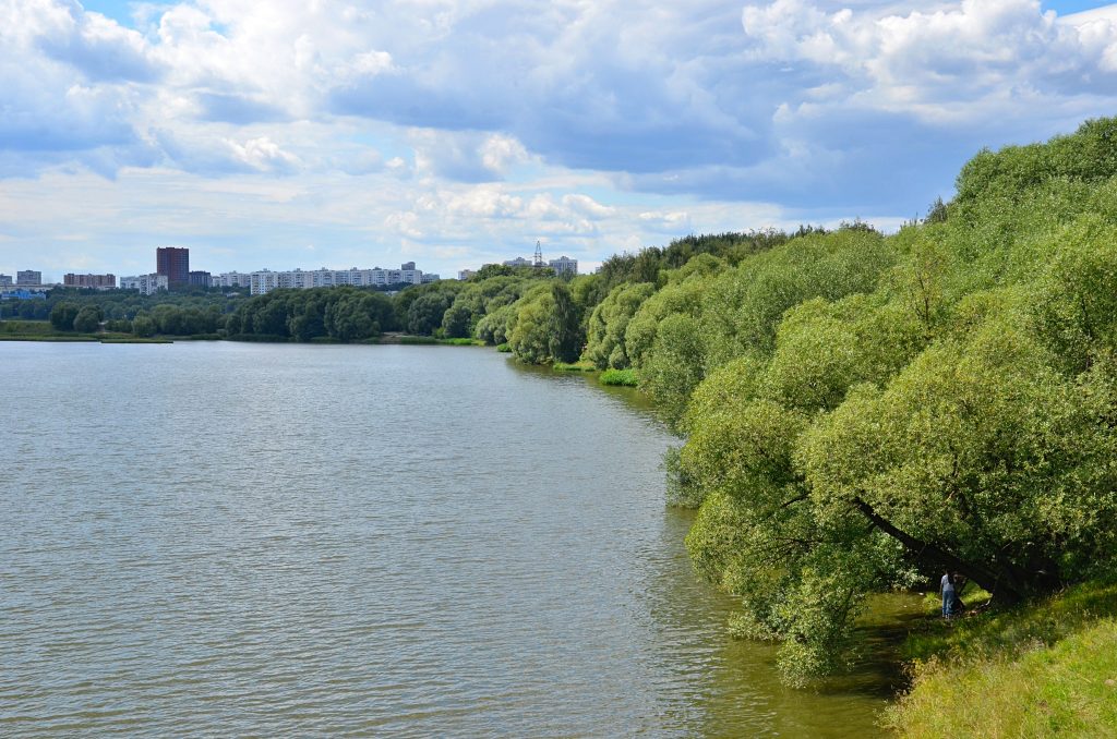 Интенсив по актерскому мастерству проведут в парке «Борисовские пруды». Фото: Анна Быкова, «Вечерняя Москва»