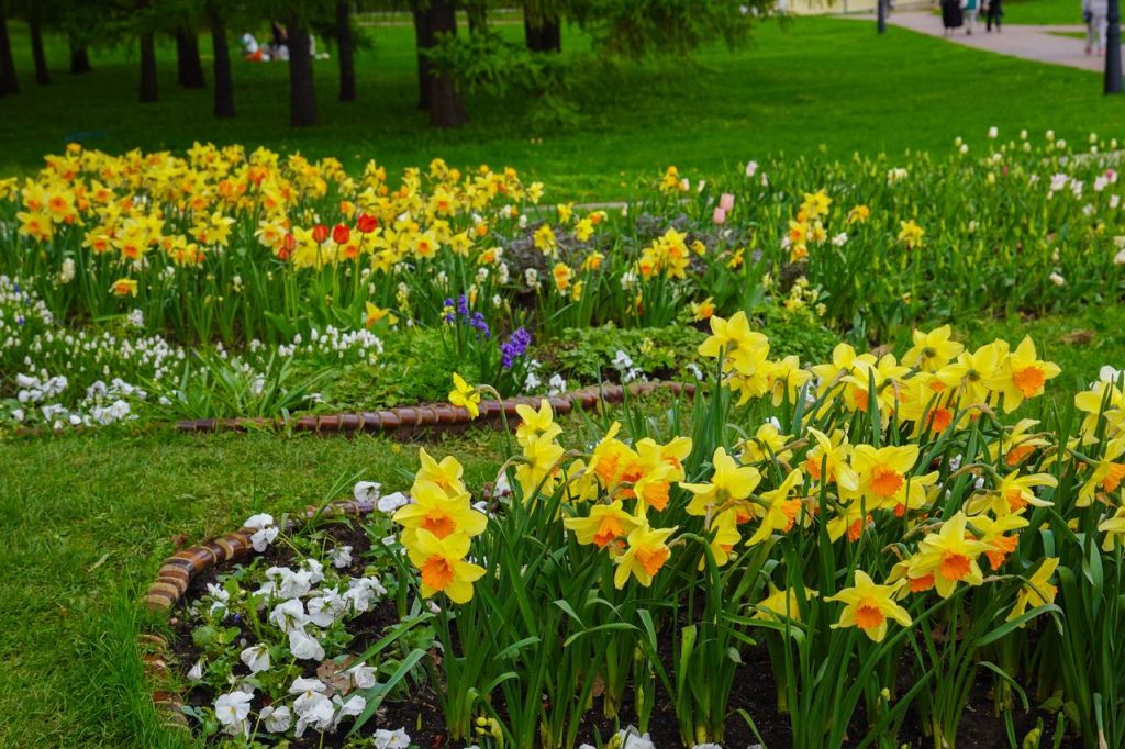 Художественный мастер-класс «Краски лета» состоится в ОБС. Фото: Ксения Догонашева, «Вечерняя Москва»