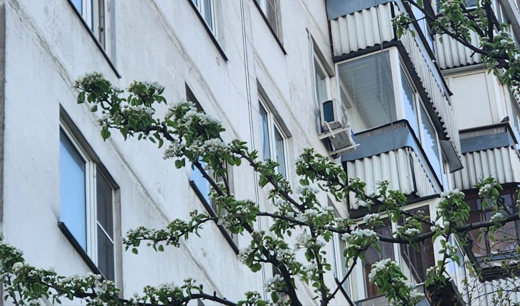 Обход территории с главой управы состоялся в Орехове-Борисове Северном. Фото: Алина Моисеенко, «Вечерняя Москва»