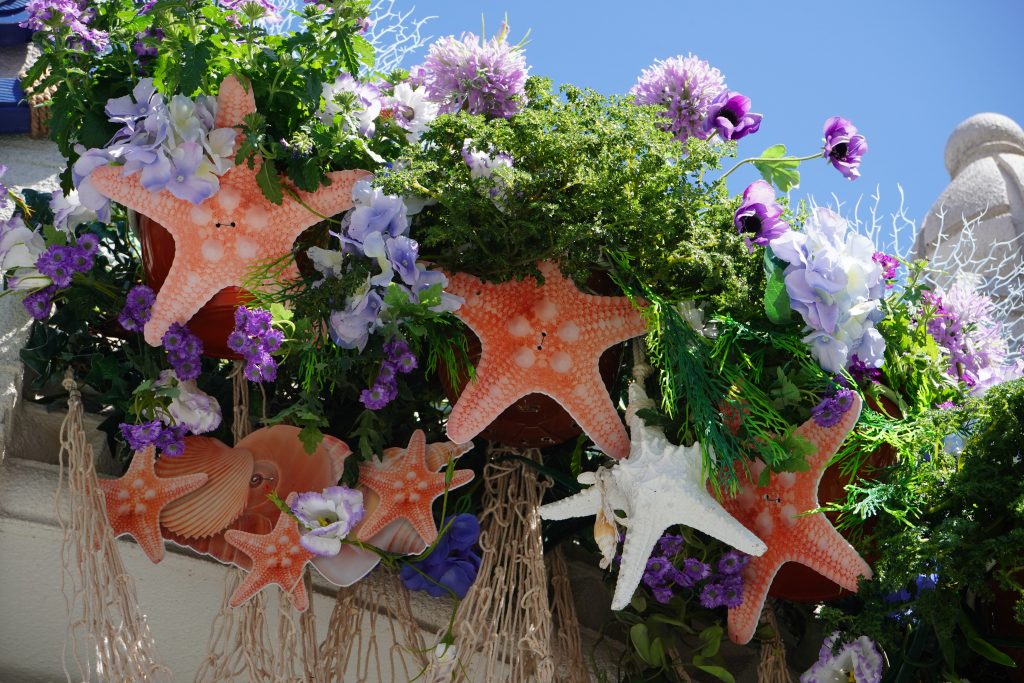 Сотрудники библиотеки №156 организуют встречу ко Всемирному дню моря. Фото: Анна Быкова, «Вечерняя Москва»