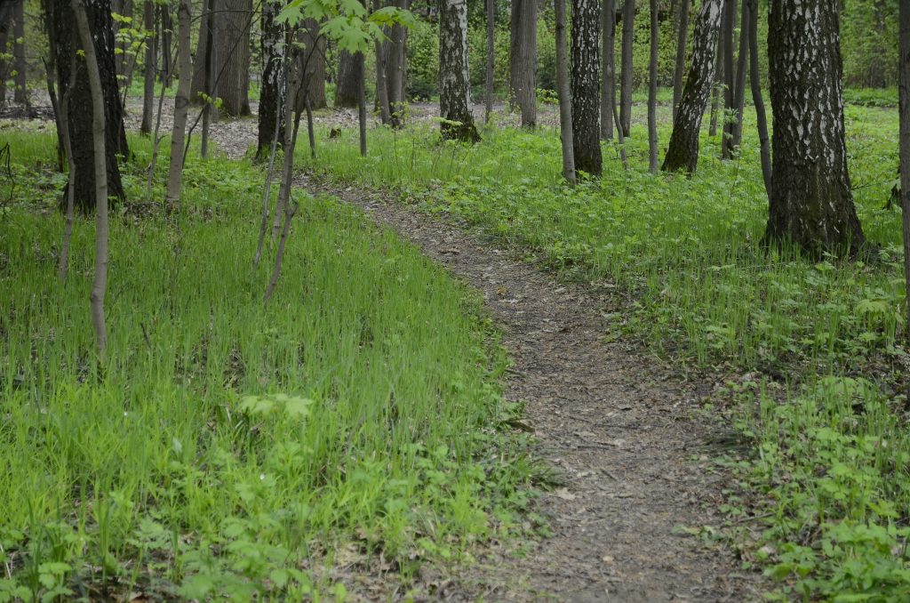 Представители школы №939 объявили о старте набора детей в туристический клуб. Фото: Анна Быкова, «Вечерняя Москва»