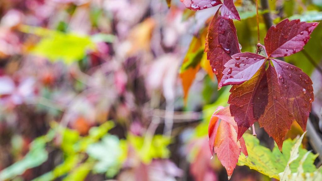 Аппарат Совета депутатов рассказал о физкультминутке в районе. Фото: Ксения Догонашева, «Вечерняя Москва»