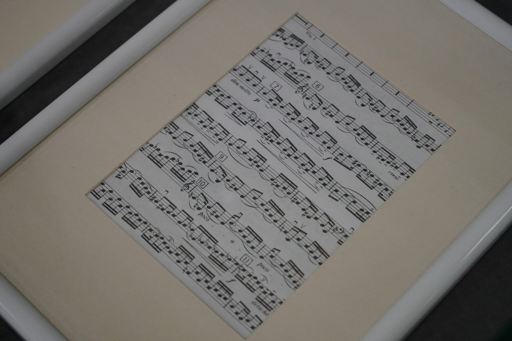 Сотрудники библиотеки №147 имени Сергея Орлова проведут лекцию о композиторе Иоганне Штраусе-младшем. Фото: Анна Быкова, «Вечерняя Москва»