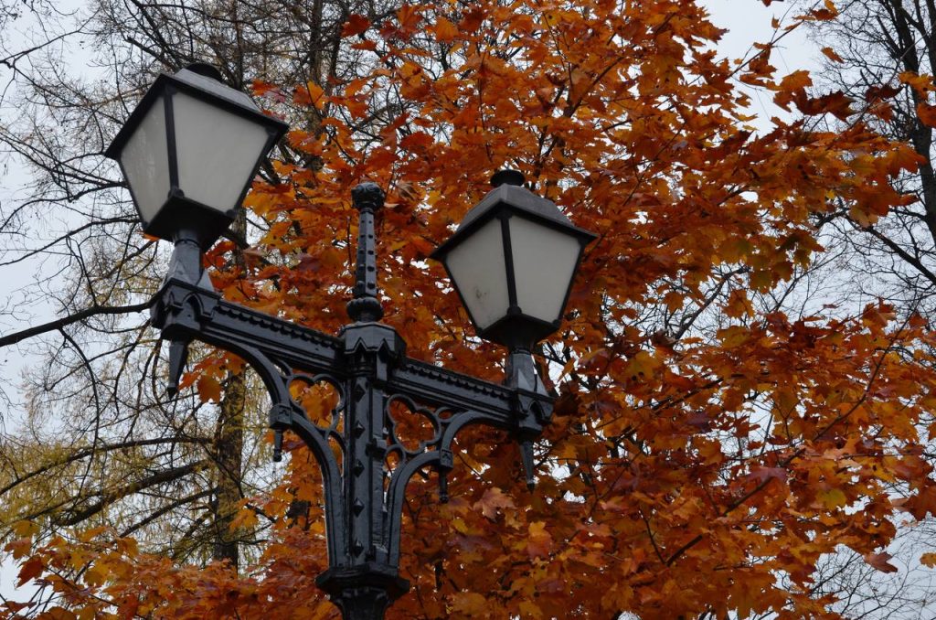 Новые фонари установили на улицах Орехова-Борисова Северного. Фото: Анна Быкова, «Вечерняя Москва»