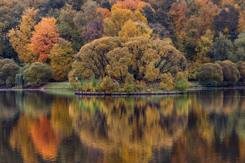 Пруд МЗ «Царицыно» стал одним из самых живописных в Москве. Фото: пресс-служба Департамента культуры города Москвы