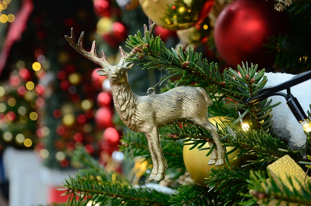 Творческие занятия фестиваля «Сады и огороды» пройдут в МЗ «Царицыно» в рамках «Зимы в Москве». Фото: Анна Быкова, «Вечерняя Москва»