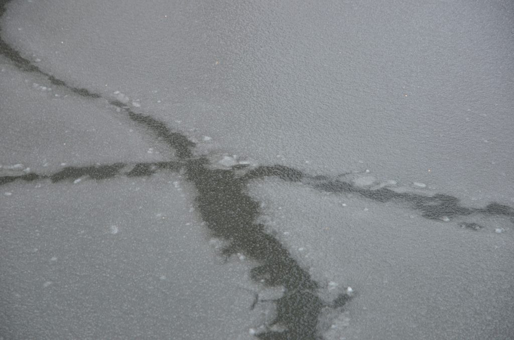 Специалисты благоустроят Борисовский пруд. Фото: Анна Быкова, «Вечерняя Москва»