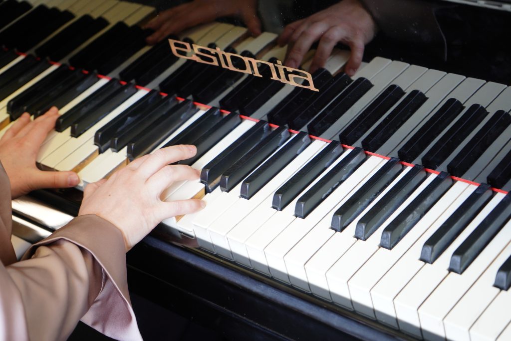 Концерт «Зимняя сказка» состоится в ДМШ имени Виссариона Шебалина. Фото: Анна Быкова, «Вечерняя Москва»