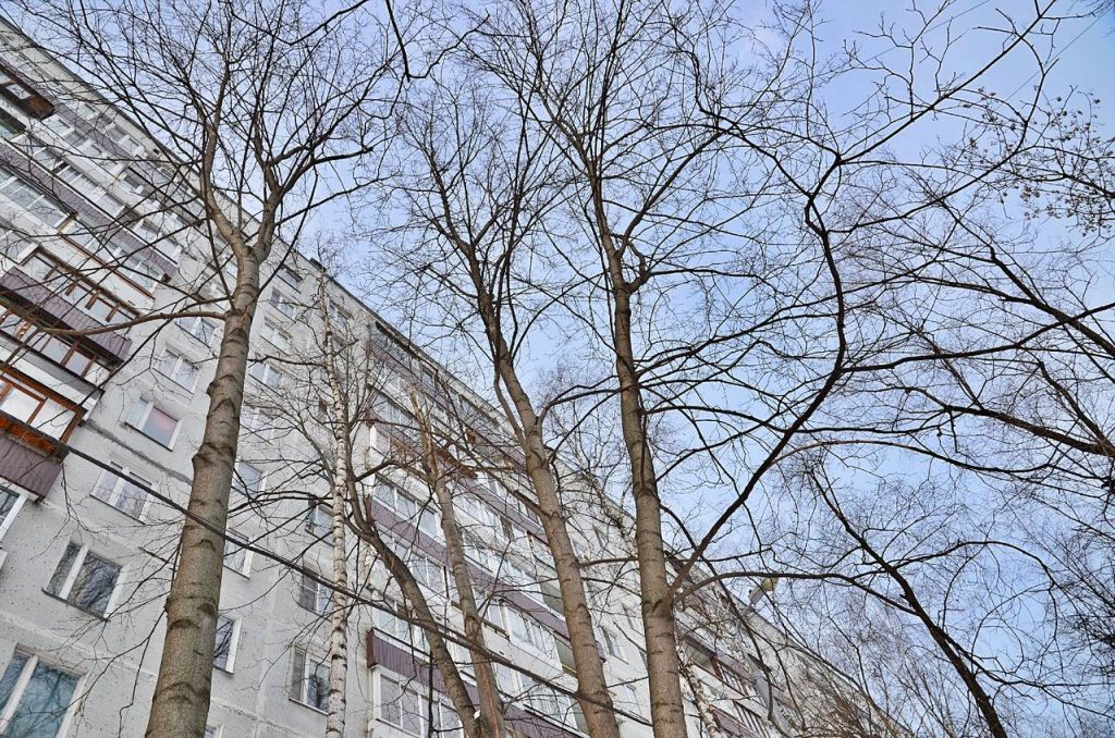 Аппарат совета депутатов ОБС рассказал об установке освещения во дворах района. Фото: Анна Быкова, «Вечерняя Москва»