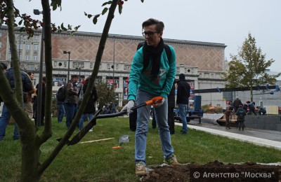 В Москве на Триумфальной площади "Активные граждане" высадили деревья