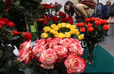Информация о цветочных магазинах ЮАО появилась на портале открытых данных столицы