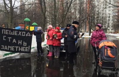 В районе Орехово-Борисово Северное прошла профилактическая акция «Пешеход»