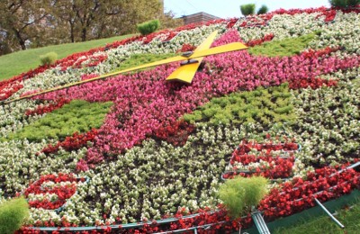 Цветочные часы появятся в Москве к 1 мая