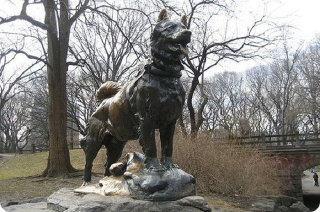 Памятник Балто в Центральном парке Нью-Йорка
