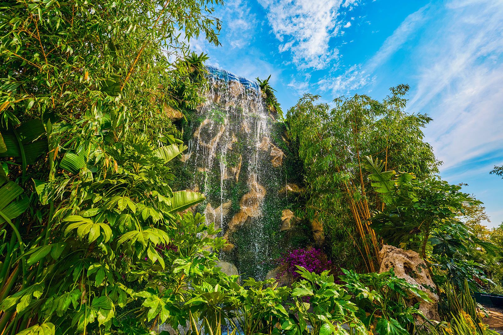 На фестивале «Сады и цветы» в этом году можно увидеть редкие растения. Фото: сайт мэра Москвы