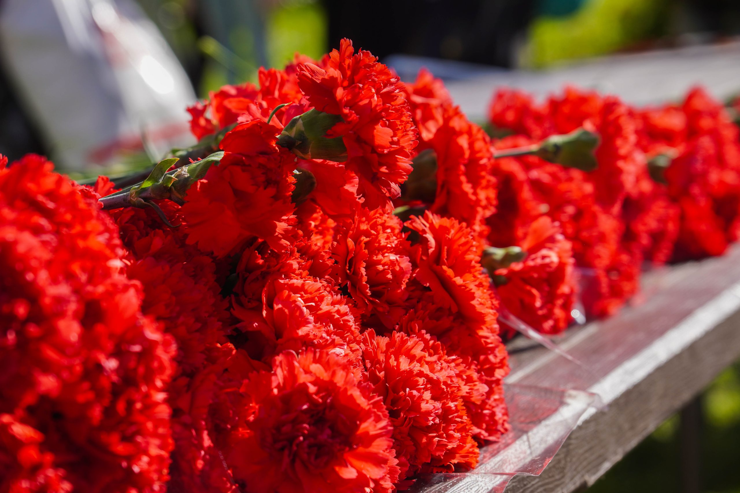 Мемориал «Павшим за Родину» в Кубинке посетили студентки колледжа «Царицыно». Фото: Ксения Догонашева, «Вечерняя Москва»