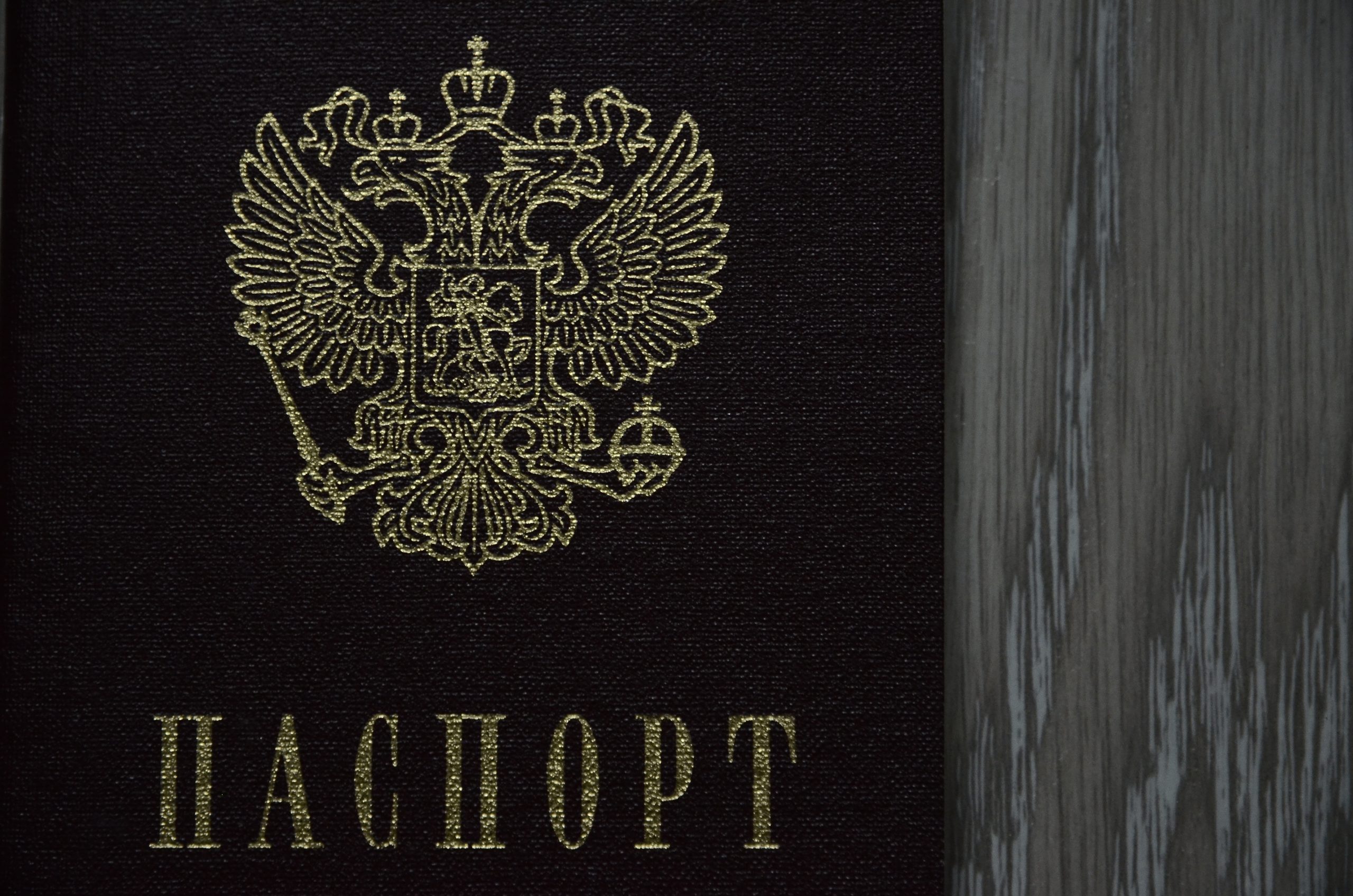 Александр Хинштейн напомнил о том, что куряне могут проголосовать в Москве