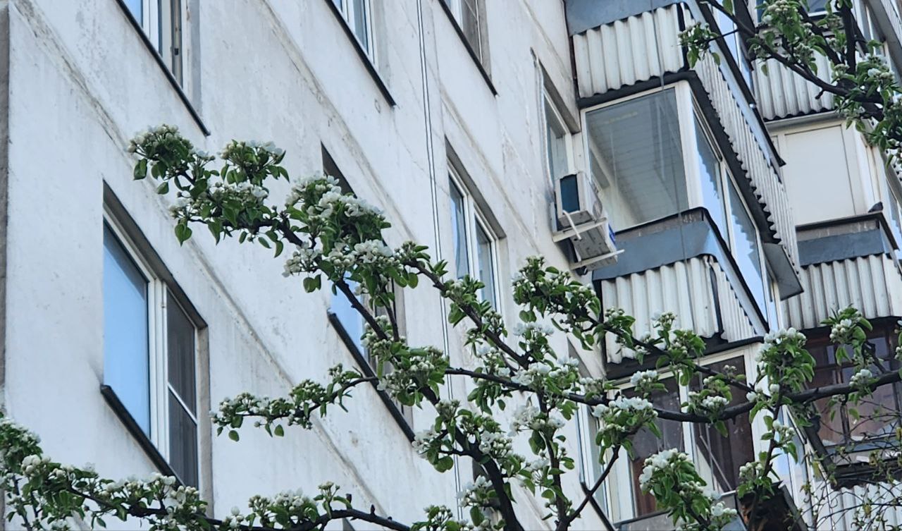 Обход территорий с главой управы состоялся в Орехове-Борисове Северном. Фото: Алина Моисеенко, «Вечерняя Москва»