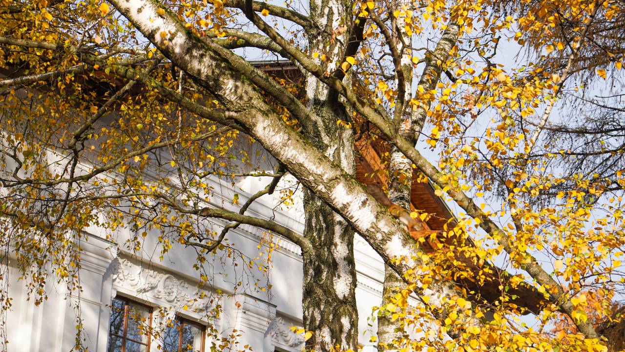 Аппарат Совета депутатов рассказал о литературном мероприятии. Фото: Ксения Догонашева, «Вечерняя Москва»