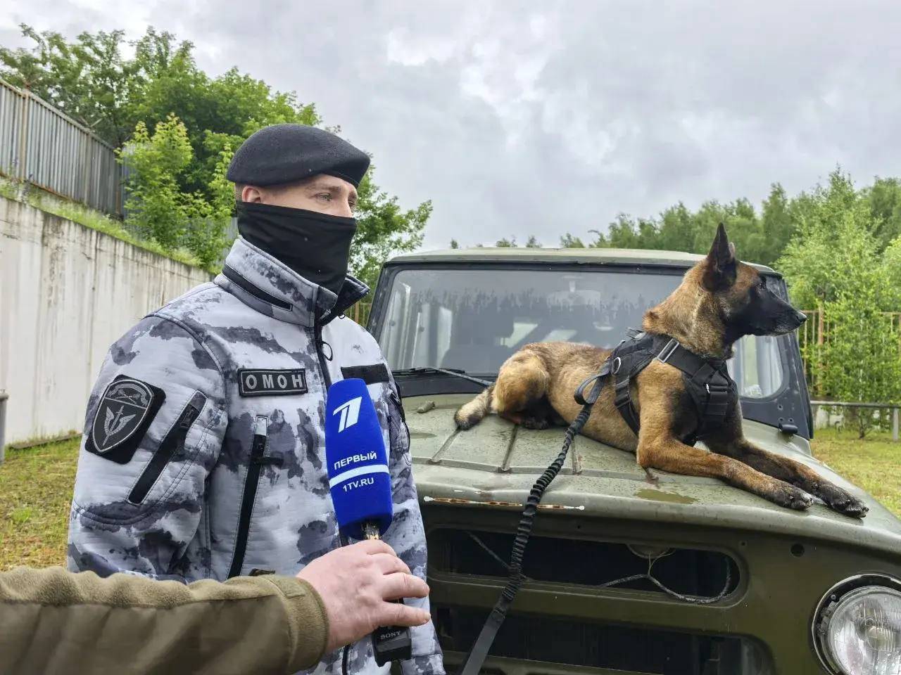 фГлавное управление Росгвардии по городу Москве поздравляет работников телевидения с профессиональным праздником. Фото: пресс-служба Росгвардии