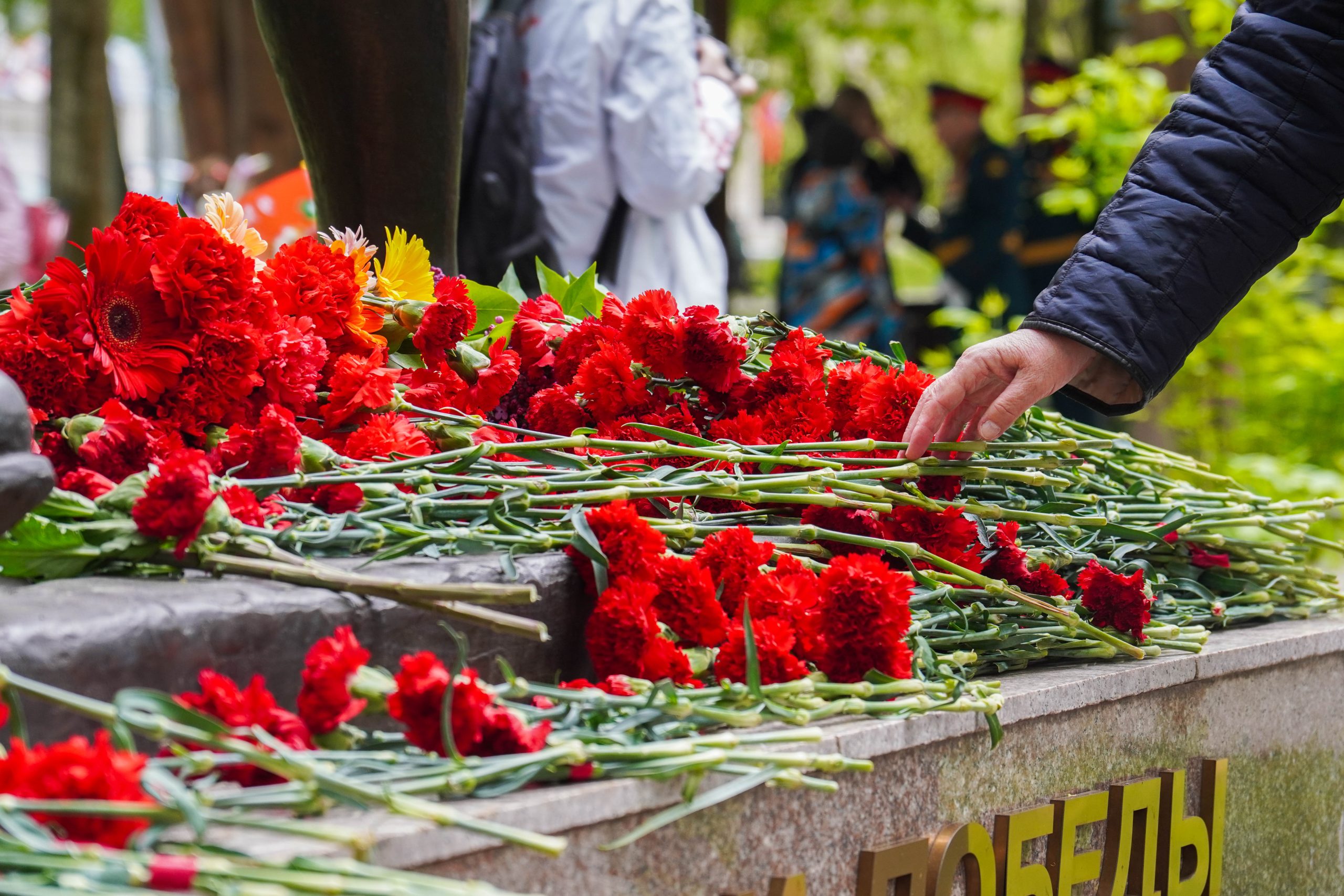 Мемориально-патронатная акция состоится в Орехове-Борисове Северном. Фото: Ксения Догонашева, «Вечерняя Москва»