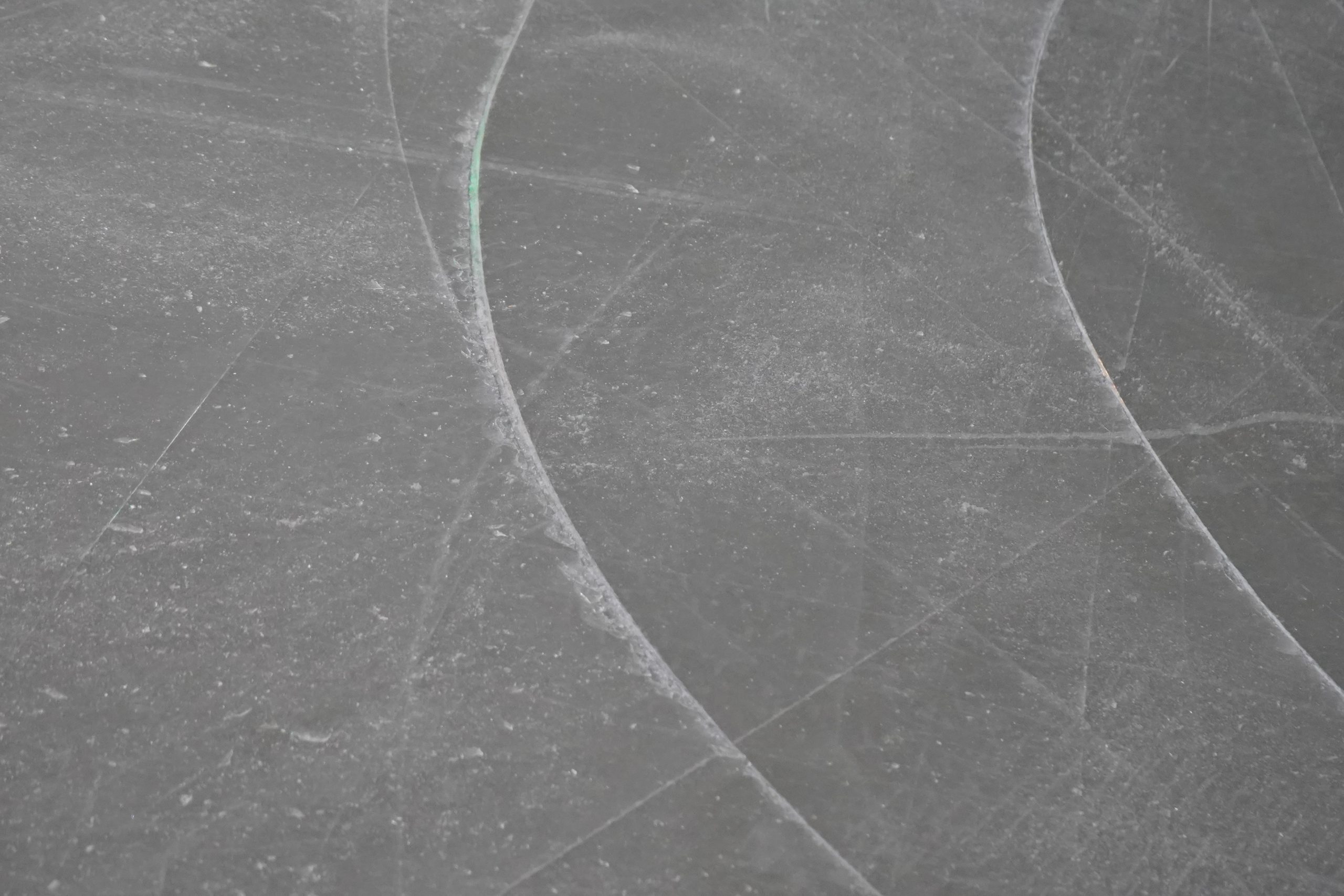 Мероприятие ко Дню Конституции РФ состоится на катке в Орехове-Борисове Северном. Фото: Анна Быкова, «Вечерняя Москва»