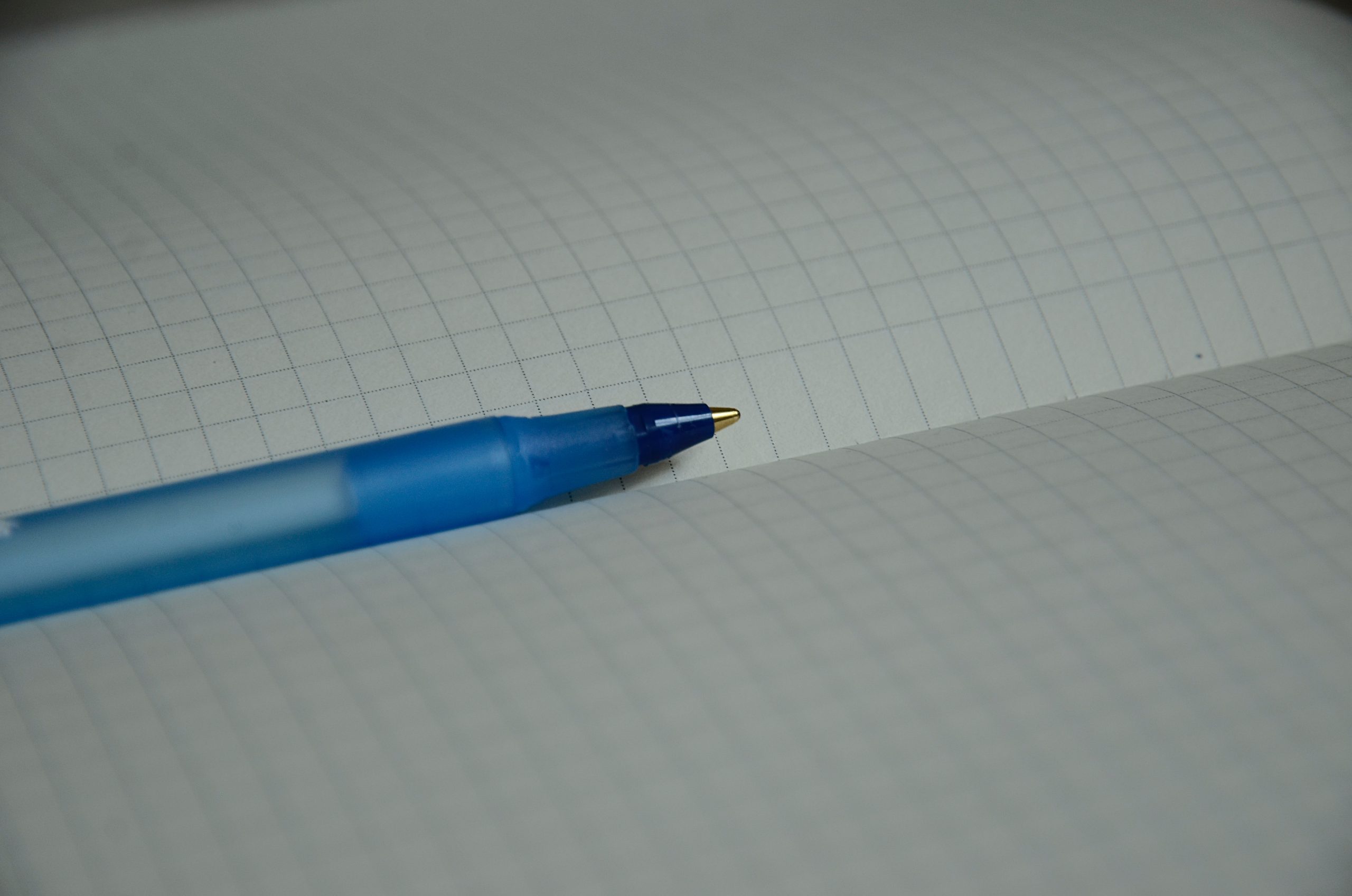 Активисты «Движения Первых» Юридического колледжа стали участниками волонтерского мероприятия. Фото: Анна Быкова, «Вечерняя Москва»