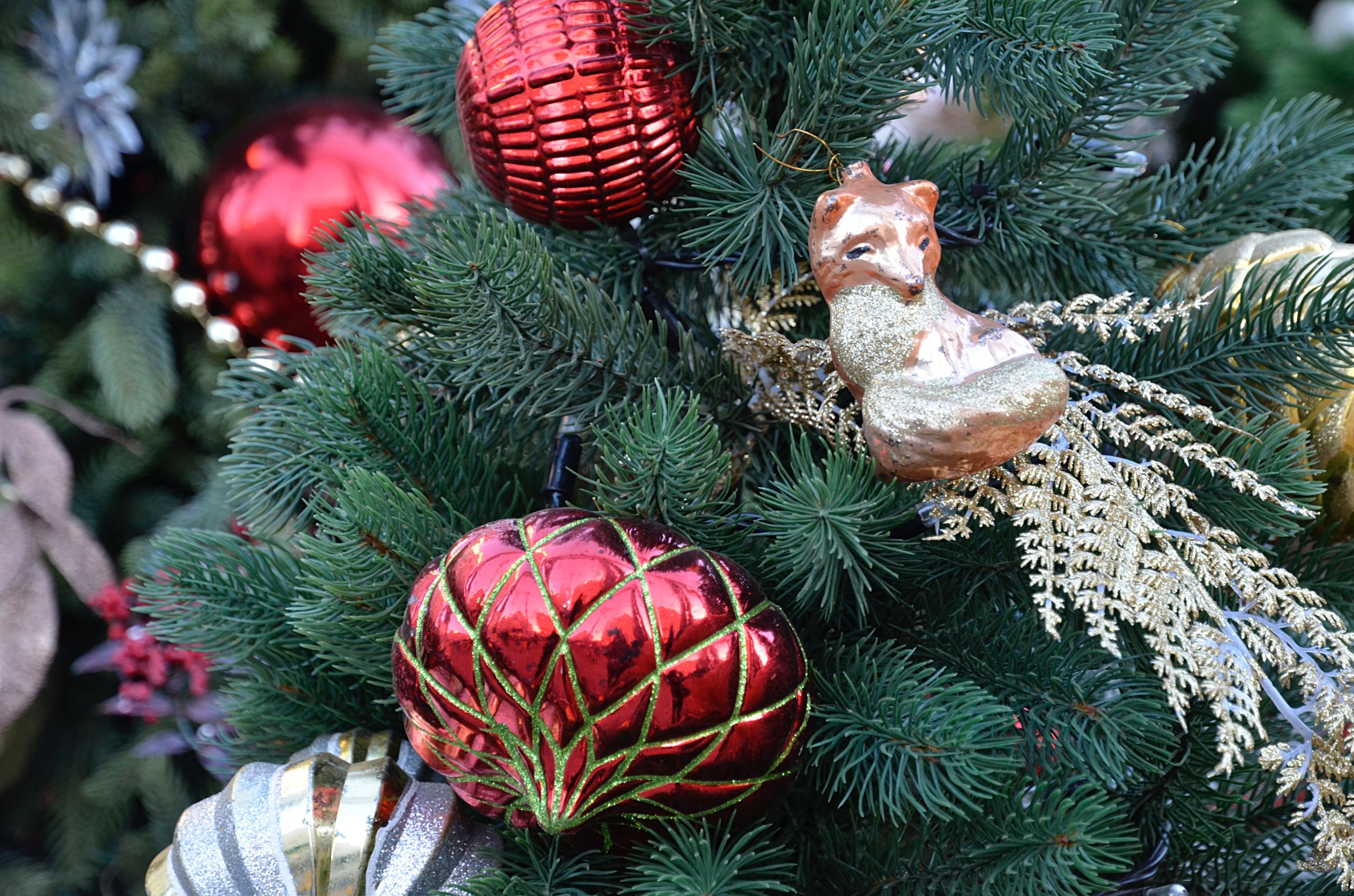 «Приближаем Новый год»: тематическое мероприятие пройдет в библиотеке №156. Фото: Анна Быкова, «Вечерняя Москва»