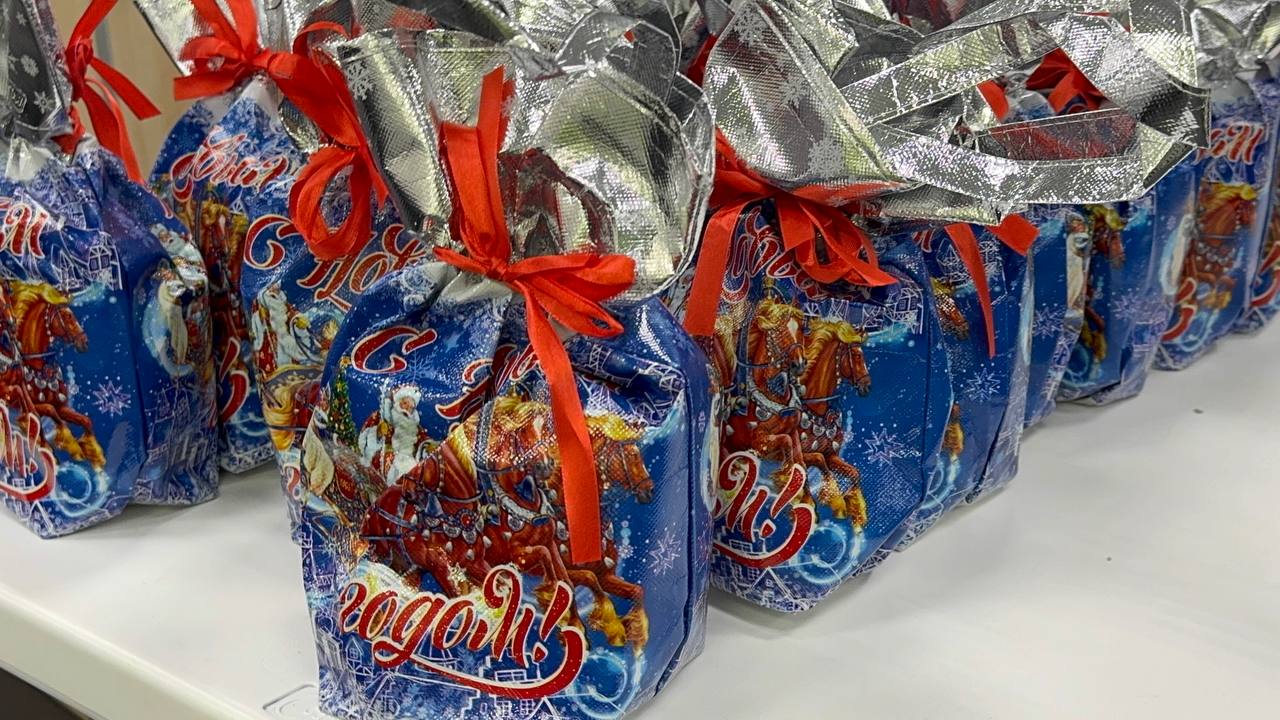 Аппарат Совета депутатов ОБС организовал для жителей новогоднюю программу — фото- и видеорепортаж. Фото: Анастасия Сёмина, «Вечерняя Москва»