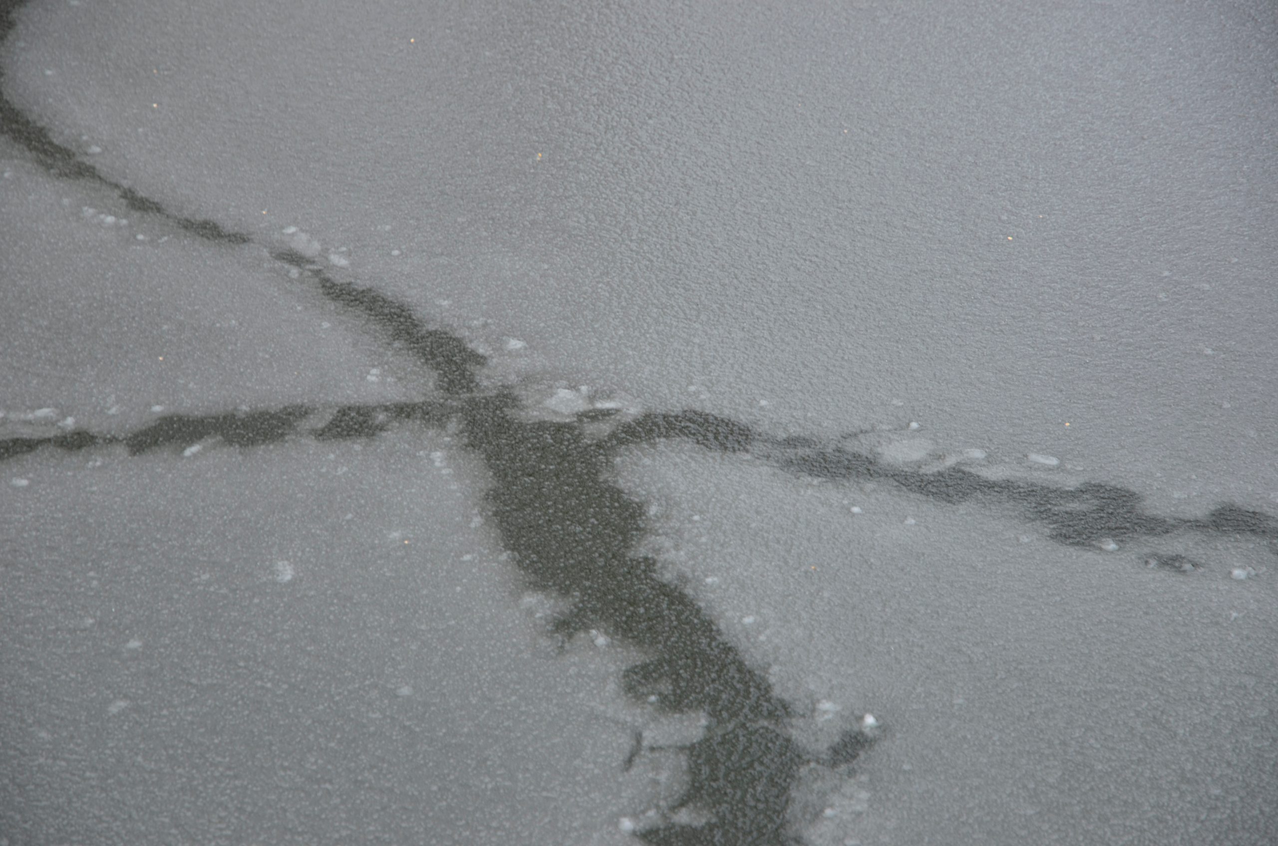 Специалисты благоустроят Борисовский пруд. Фото: Анна Быкова, «Вечерняя Москва»