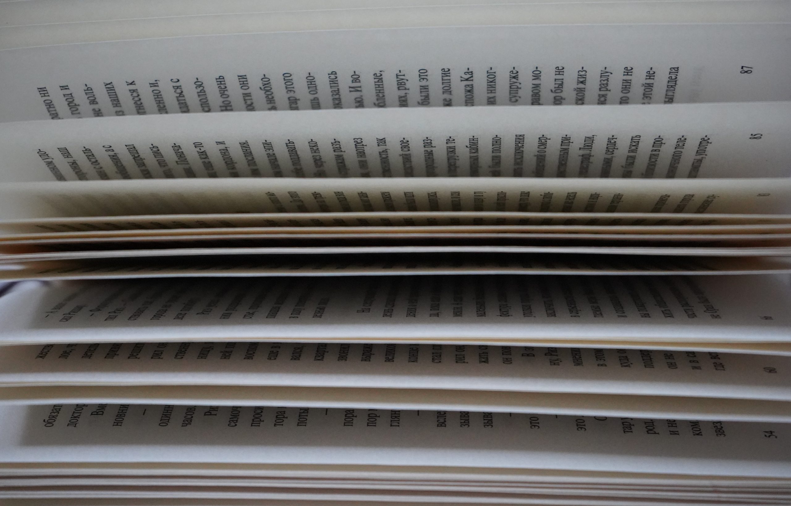 Беседа о заповедниках России пройдет в библиотеке №156. Фото: Анна Быкова, «Вечерняя Москва»