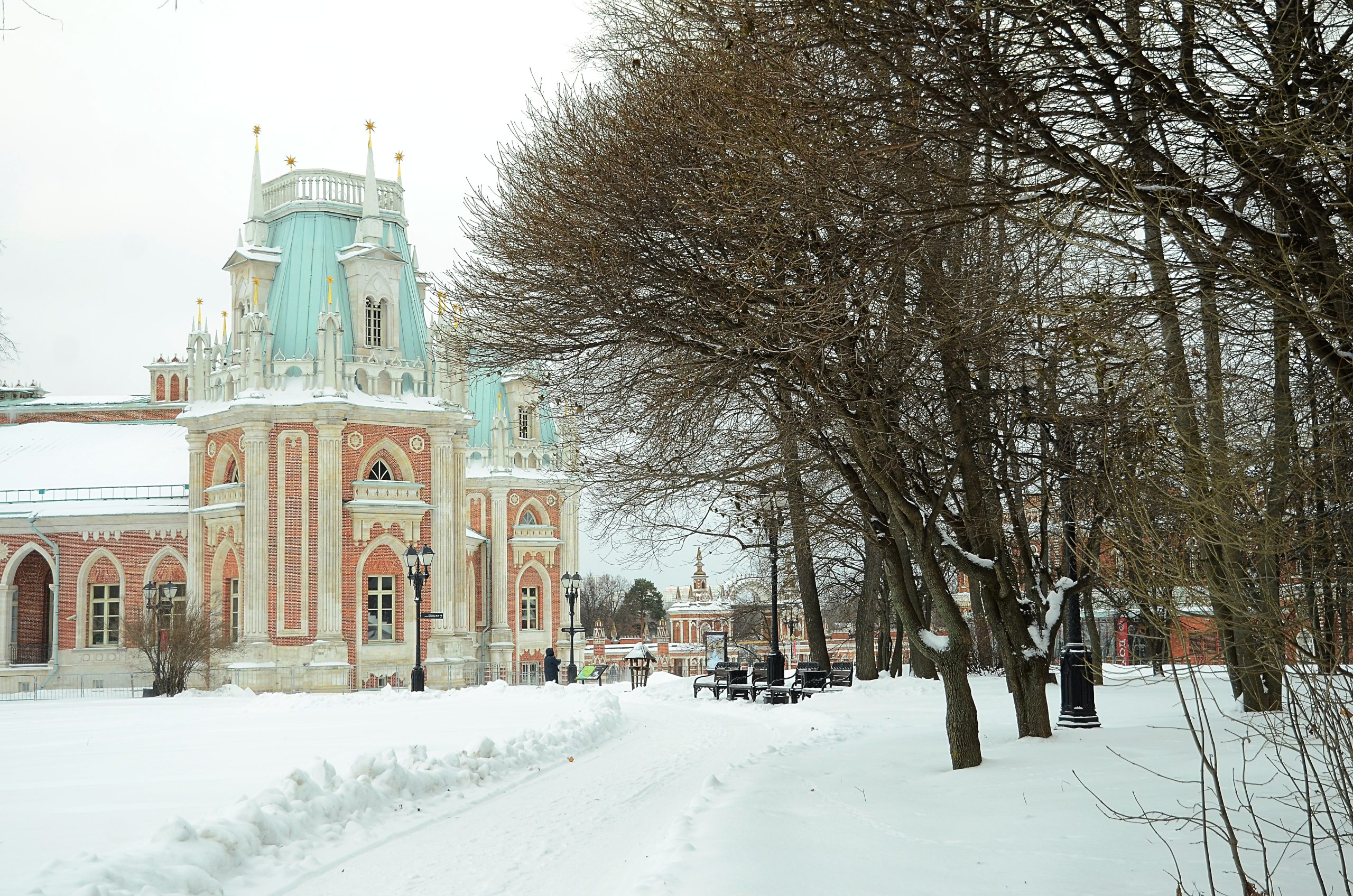 Цапля может остаться зимовать на Царицынских прудах. Фото: Анна Быкова, «Вечерняя Москва»