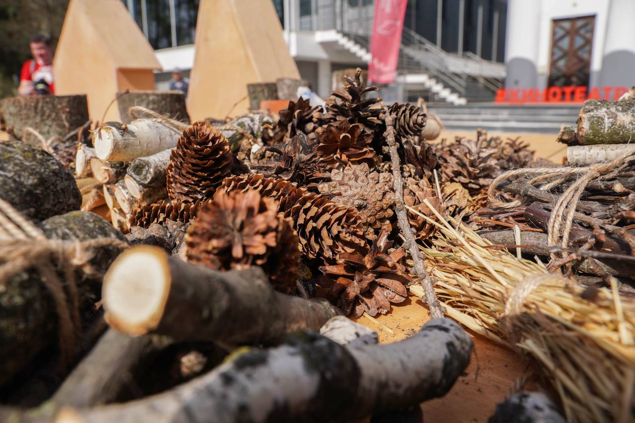 Людмила Сысоева рассказала про акцию «Покормите птиц зимой». Фото: Ксения Догонашева, «Вечерняя Москва»