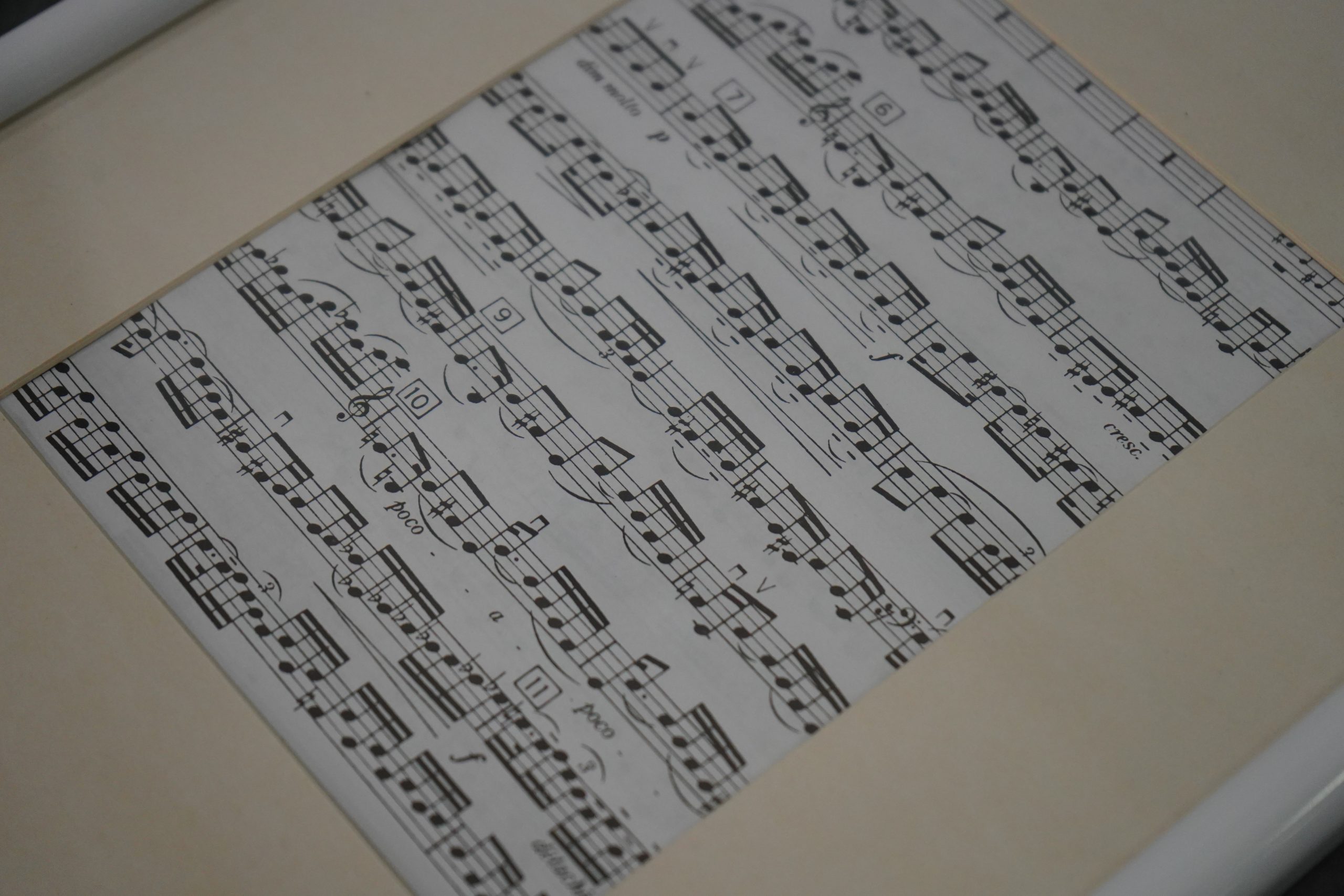 Концерт домристов состоится в ДМШ имени Виссариона Шебалина. Фото: Анна Быкова, «Вечерняя Москва»