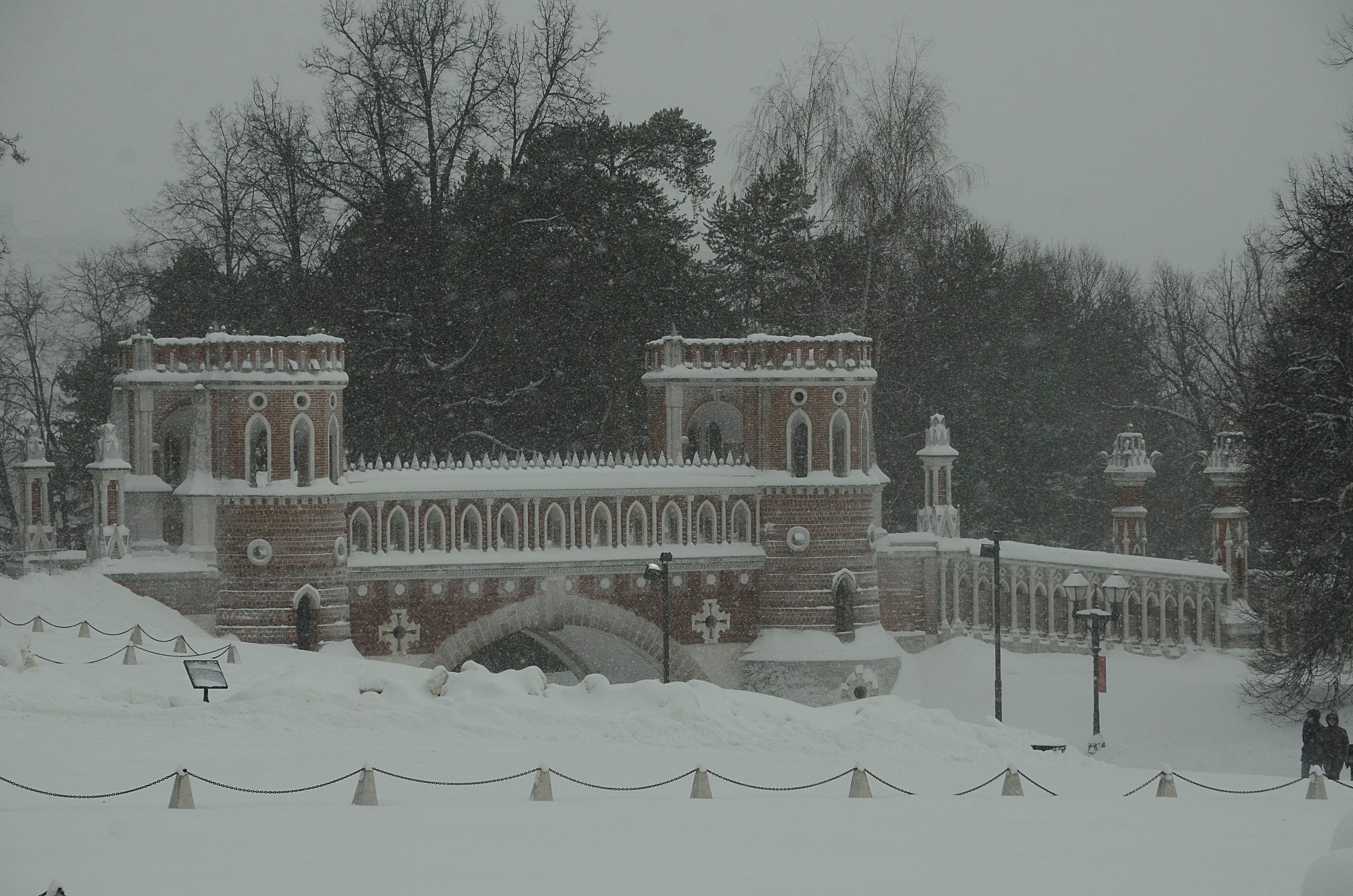 Встреча подросткового литературного клуба состоится в МЗ «Царицыно». Фото: Анна Быкова, «Вечерняя Москва»
