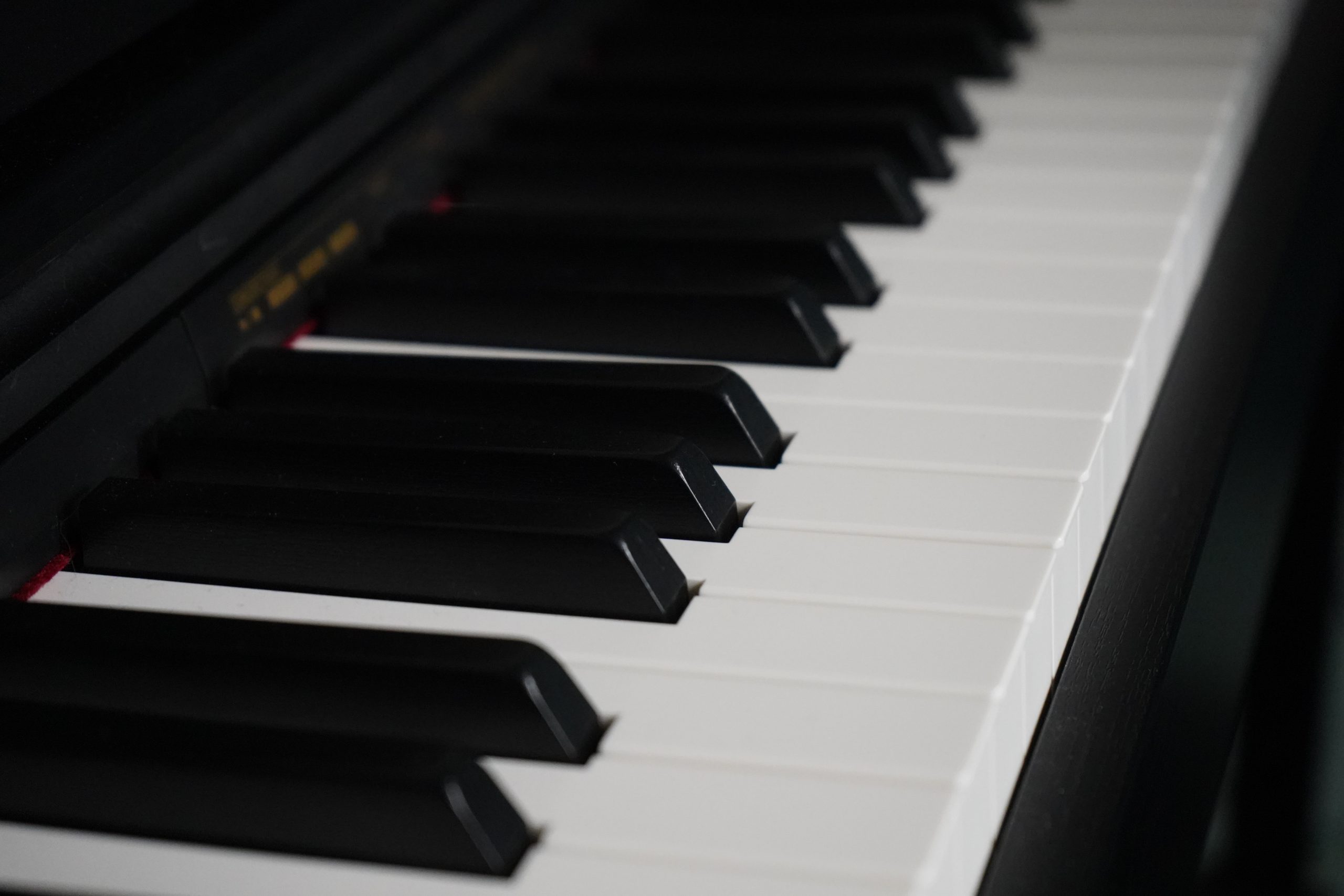 «От классики до современности»: концерт преподавателей состоится в ДМШ имени Виссариона Шебалина. Фото: Анна Быкова, «Вечерняя Москва»