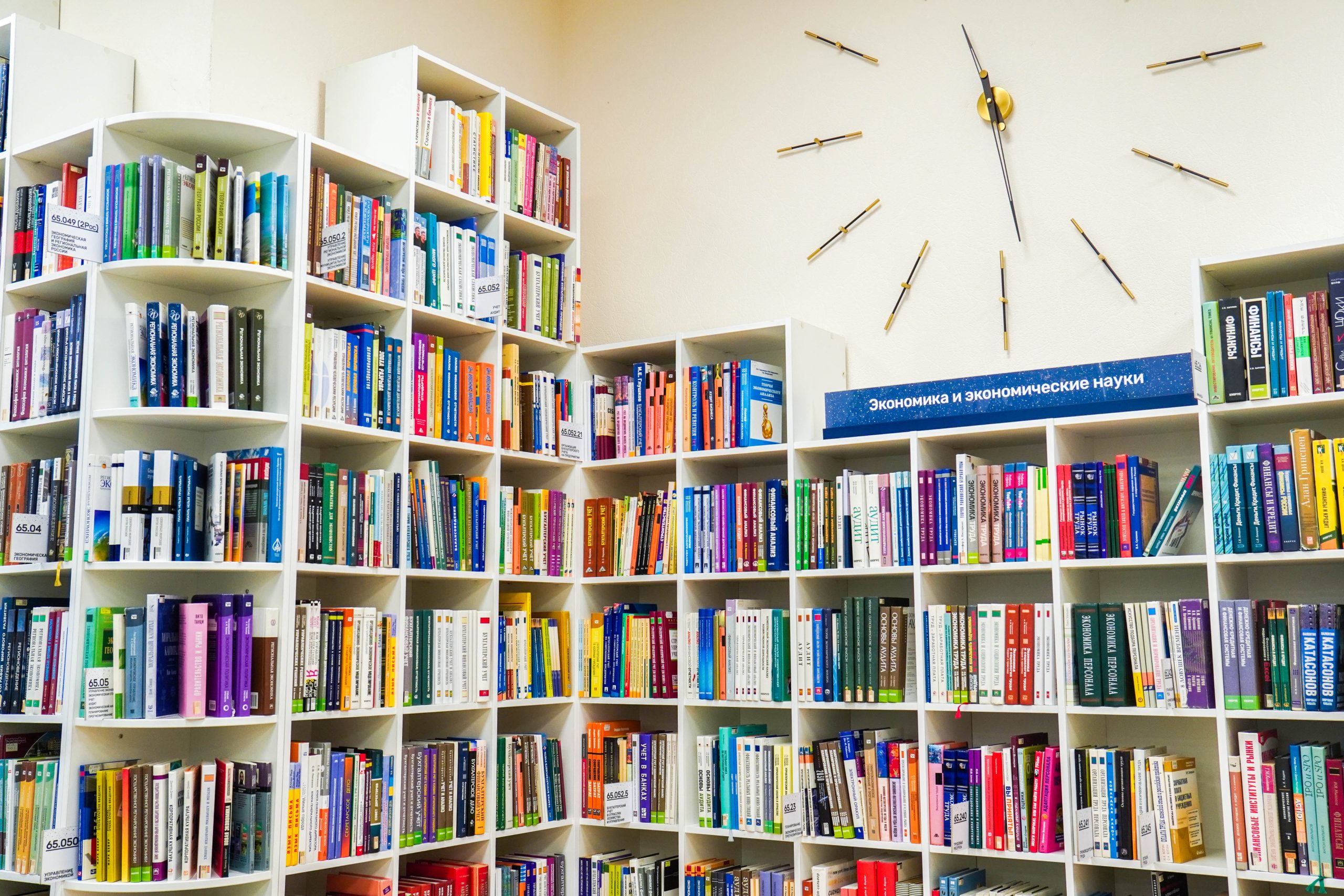 Встреча любителей настольных игр пройдет в библиотеке №146. Фото: Ксения Догонашева, «Вечерняя Москва»